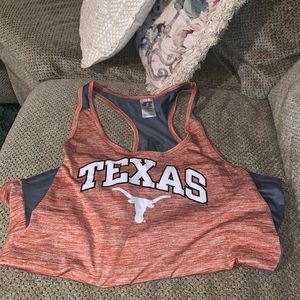 Texas longhorns